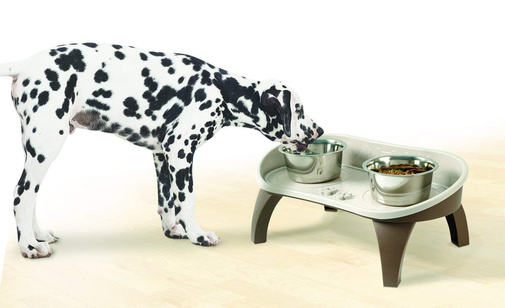 PET PARADE Non-Skid Dog Bowl Tray 