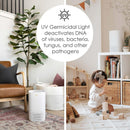 6 of 7:Crane Air Purifier with UV Light and True HEPA Filter, White, 250 Sq Ft Coverage 