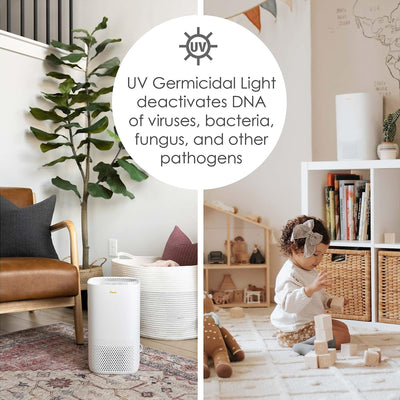 6 of 7:Crane Air Purifier with UV Light and True HEPA Filter, White, 250 Sq Ft Coverage 