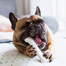 2 of 5:Nylabone Power Chew Flavored Durable Chew Toy for Dogs, for Medium Dogs, Chicken Flavor 