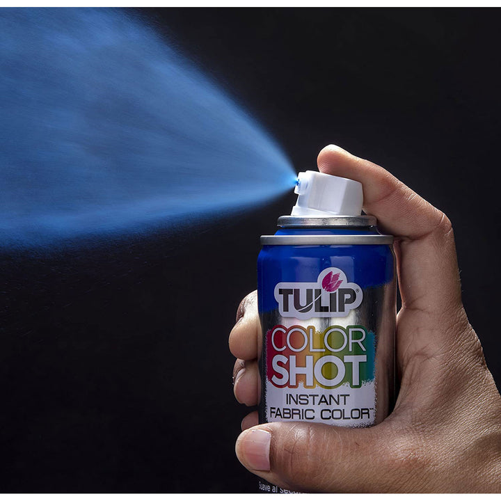 Tulip Instant Color Shots Americana Fabric Spray Paint Set, 5 Pack –  ShopBobbys