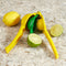 Home Basics Dual Lemon and Lime Juice Squeezer