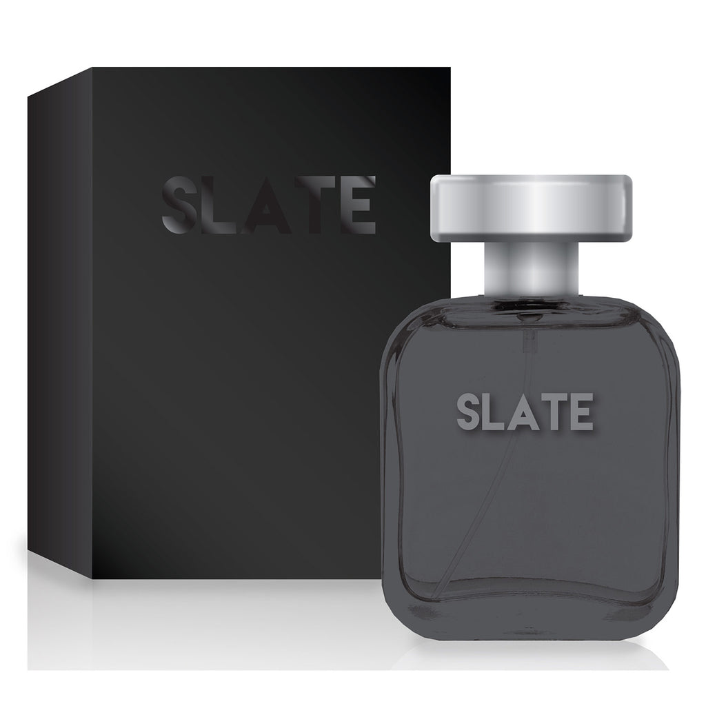 Slate for Men, Impression of Dolce & Gabbana The One Grey, 3.4 Ounces –  ShopBobbys