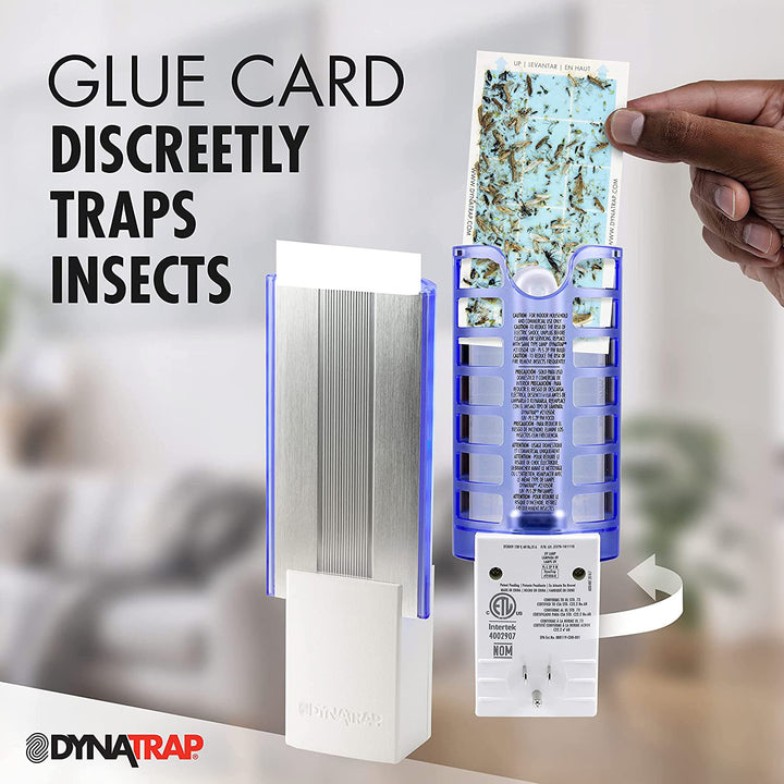 Indoor Insect Trap StickyTech Glue Cards - 12 Pk